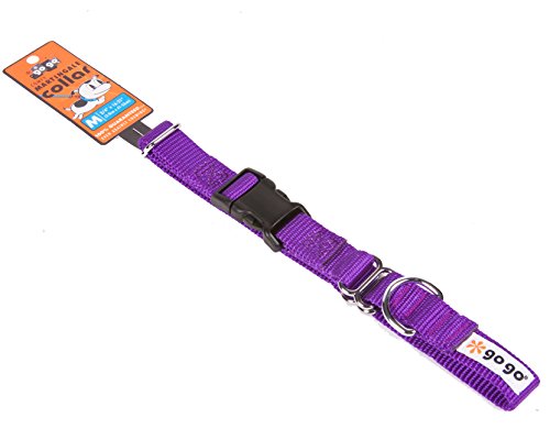 GoGo Pet Products GoGo 3/4-Inch Martingale Dog Collar, Medium, Purple