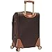 Caribbean Joe 20 Inch 8 Wheel Spinner Carry-On, Chocolate Brown, One Size