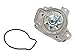 Evergreen TBK224WPT2 Compatible With Honda Del Sol SL 1.6L D16Y5 D16Y8 Timing Belt Kit Water Pump