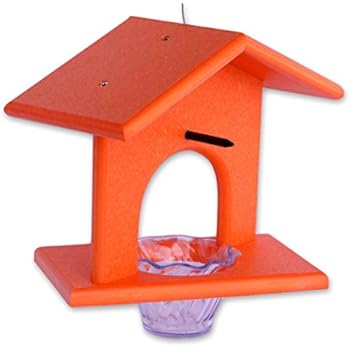 Amazon Com Jcs Wildlife Hourglass Jelly And Double Fruit Oriole
