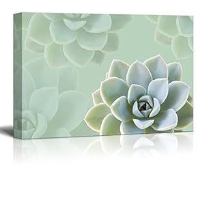 Canvas Print Wall Art - Succulent Plants on Retro Style Background - Gallery Wrap Modern Home Art | Ready to Hang - 12x18 inches