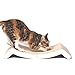 4CLAWS Scratching Lounge & Bed (White) - Basics Collection Cat Scratcher