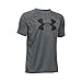 Under Armour UA Tech Big Logo Youth X-Small Carbon Heather