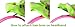 Head Bands for Women, Girls Headbands - HipGirl 10pc Grosgrain Ribbon Wrapped 1/2