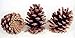 BESTTOYHOME 15 PCS Natural Pinecones Medium Pine Cones Ornaments Real Preserved Pine Cones - Dried -3