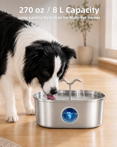 SohoTeco 8L/270oz/2Gallon Stainless Steel Dog Water Fountain Pet Fountain | Automatic Pet Water Dispenser - Self-Designed Filtration System - Ultra-Quiet Pump - Easy Cleaning & Maintenance (3 Filters)