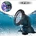 Lawn Light Waterproof IP 68 Submersible Spotlight Color Changing Spot Light for Aquarium Garden Pond Pool Tank Fountain Waterfall (Set of 4)