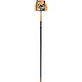 Ettore, 1-(Pack), 31028 Professional Cobweb Duster with Pole