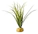 Exo Terra Turtle Grass Plant