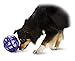 PetSafe Busy Buddy Kibble Nibble Dog Toy - Encourages Natural Instinct Feeding - Patented Treat Meter Design - Rubber Bumpers - Interactive Slow Feeder Ball - Purple - Medium/Large