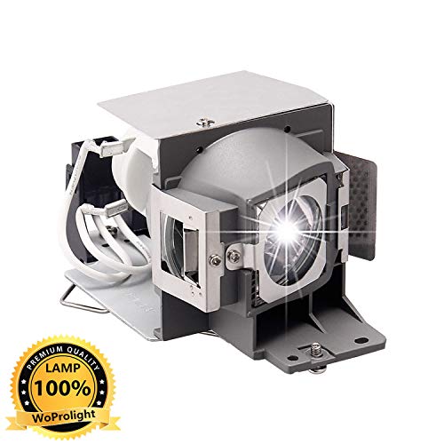 WoProlight 5J.J7L05.001 / 5J.J9H05.001 Projector Lamp Bulb for Benq W1070 W1080ST HT1075 HT1070A HT1085ST W1070+,Original Lamp with Housing