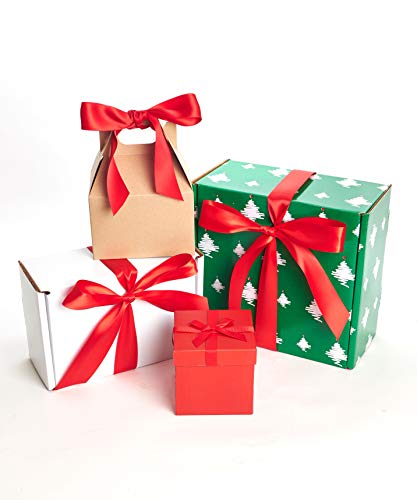 4 Shop+Succulents+Unique+Plants+Gift