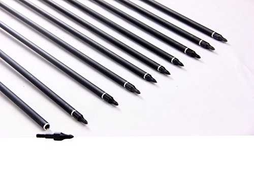 image for PG1ARCHERY Archery Carbon Arrows, 12 Pack 30 inch Practice Hunting Tar