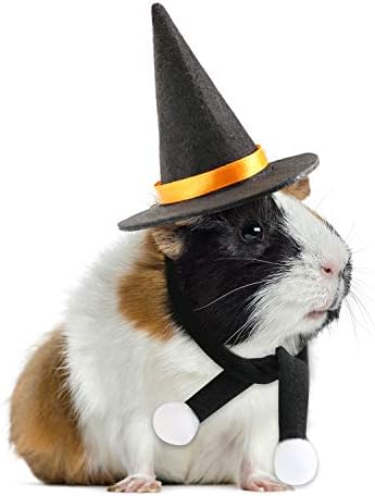 guinea pig costumes amazon