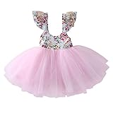 Newborn Toddler Baby Girls Floral Dress Party Ball Gown Lace Tutu Formal Dresses Sundress (2T, Pink)