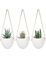 Amazon.es: Macetas colgantes: Jardín