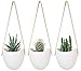 Mkono Ceramic Hanging Planter Succulent Air Plant Flower Pot Wall Decor, Set of 3