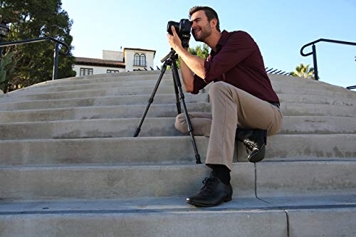 Vanguard Alta Pro 2+ 263AB 100 Aluminum Tripod with Alta BH-100 Ball Head and Multi-Angle Center Column
