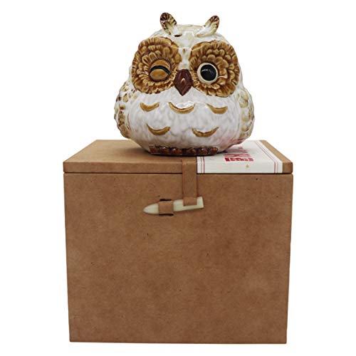 Owl Ornament Small Statue for Home Office Decor Table Decoration, Owl Gift Animal Sculptures Collection for Birds Lovers (White-Cute Owl Coin Bank)