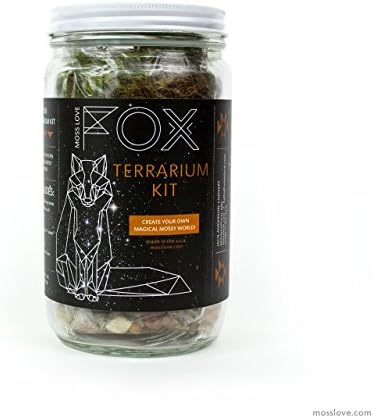 * Fox * DIY Moss Terrarium Kit - popular unique fun gift or project! Reg $42
