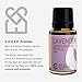 Rocky Mountain Oils Lavender Essential Oil - Diffuser Oil, Pure Essential Oils for Diffuser and Aromatherapy, Perfect for Hotel, Spa, Sleep Diffuser Oil