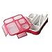 Bento Lunch Box and Snack Container Set for Kids Women | Small & Large Leakproof Boxes for Work School Daycare | Divided Portion Containers for Girls Teens Toddlers, Large and MINI, Pink 2 pack