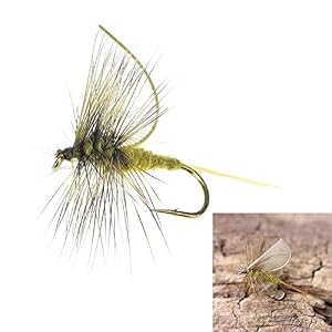 Jujianfu Wjw-yg, 1pc Appâts Artificiels Appâts Pêche à La Mouche Leurre Truite Mouche Pêche Crochets S’attaquer Avec La Boîte De Cas