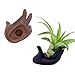 6 Pack Air Plant Stand Holder, Hand Shape Tillandsia Airplant Container Pot Tabletop Plant Display Hand Racks for Home Office Decoration Supplies(Red+Brown+Black)thumb 4