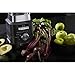 Calphalon Auto-Speed 68 Oz Blender with Blend-N-Go Smoothie Cup and BPA-free Tritan Jar | 1100-Watt Base, Dark Stainless Steel