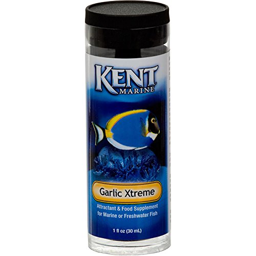 Kent Marine Garlic Extreme 4oz Elite Aquariums