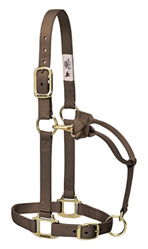 Cabresto de Nylon para Cavalo Weaver Leather, Tamanho Pequeno