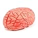 ONEDONE Soft Bloody Brain for Halloween Party Fake Human Brain Body Parts Horror Halloween Prop Pranks Stage Props Haunted House Decoration