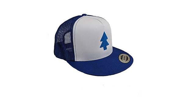 Dipper Pines Hat - Gravity Falls 