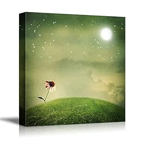 signwin Canvas Wall Art Birds, Flowers, Owls, Butterflies...