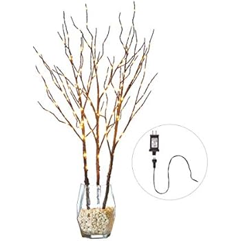 Amazon Com 2 Ft Led Lighted Bare Branch Tree Dusted With