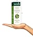 Biotique Botanicals Morning Nectar Lotion, 4.05 Fluid Ounce