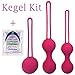 Ben Wa Balls Kegel Tightening for Internal Pelvic Floor Prolapse Weighted Exercise Set for Women