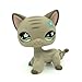 Littlest Pet Shop LPS Gray Short Hair CAT Green Eyes Blue Flower Toy #483
