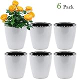 SAND MINE Self Watering Planter White Flower Pot (6, XL)