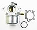 XtremeAmazing New Carburetor Compatible with Briggs & Stratton 694202 693909 692648 499617 790120 Carb