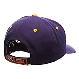 NCAA LSU Tigers Men's Competitor Hat, Adjustable, Purple