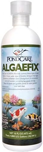 Fountain &amp; Water Feature Water Treatment Pond Care Algaefix Single 16 Oz Bottle FTCP169B