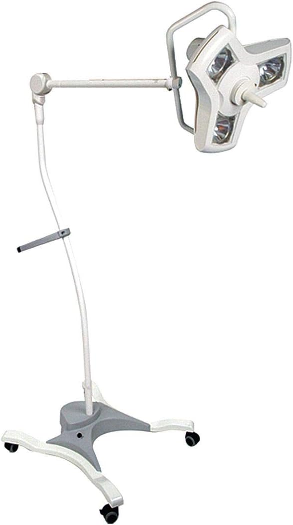 PHILIPSBurton A100FL AIM-100 Floorstand, 120V Model