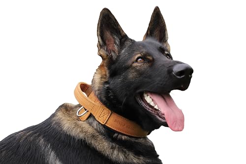 DINGO GEAR Drago Leather Dog Collar, Amortized with Strong Wide Handle, Handmade, Neck Girth 56-64 cm, for Training and Walks, Pull Protection, Soft Padding, Brown (S03920)