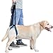 Momo Pet Dog Support Harness Rear Lifting Harness Adjustable Straps Veterinarian Approved for Canine K9 Help with Poor Stability, Joint Injuries Elderly and Arthritis ACL Rehabilitation Rehab L