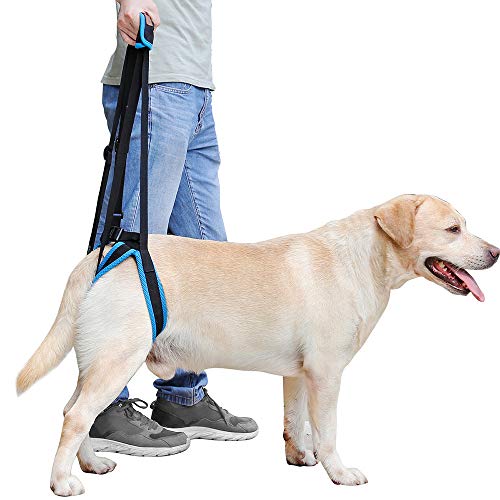 Momo Pet Dog Support Harness Rear Lifting Harness Adjustable Straps Veterinarian Approved for Canine K9 Help with Poor Stability, Joint Injuries Elderly and Arthritis ACL Rehabilitation Rehab L