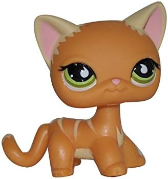 Meidexian888 Rare Littlest Pet Shop , Child Figure Toy 2.5 inches Cream Tan Brown Rainbow Eyes Cat