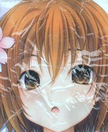 Amazon Co Jp 織田信奈の野望 ねね 抱き枕カバー Stray Moon みやま零 Hobby