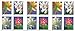 USPS Forever Postage Stamps Winter Flowers Booklet of 20