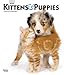 Kittens & Puppies 2020 12 x 12 Inch Monthly Square Wall Calendar with Foil Stamped Cover, Animals Cu by 